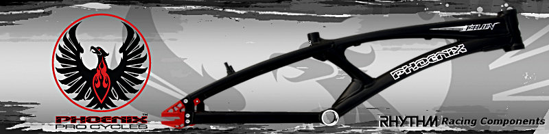 Phoenix ProCycles new Talon BMX Al Racing Frame
